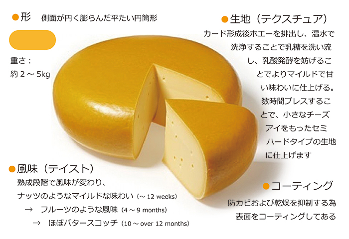 Gouda style